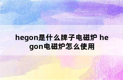 hegon是什么牌子电磁炉 hegon电磁炉怎么使用